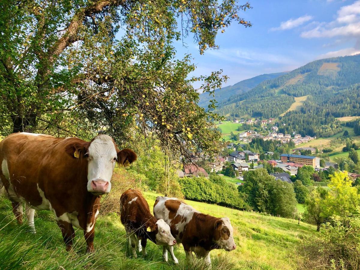 Ferienwohnung Feichterhof Bad Kleinkirchheim Exterior foto